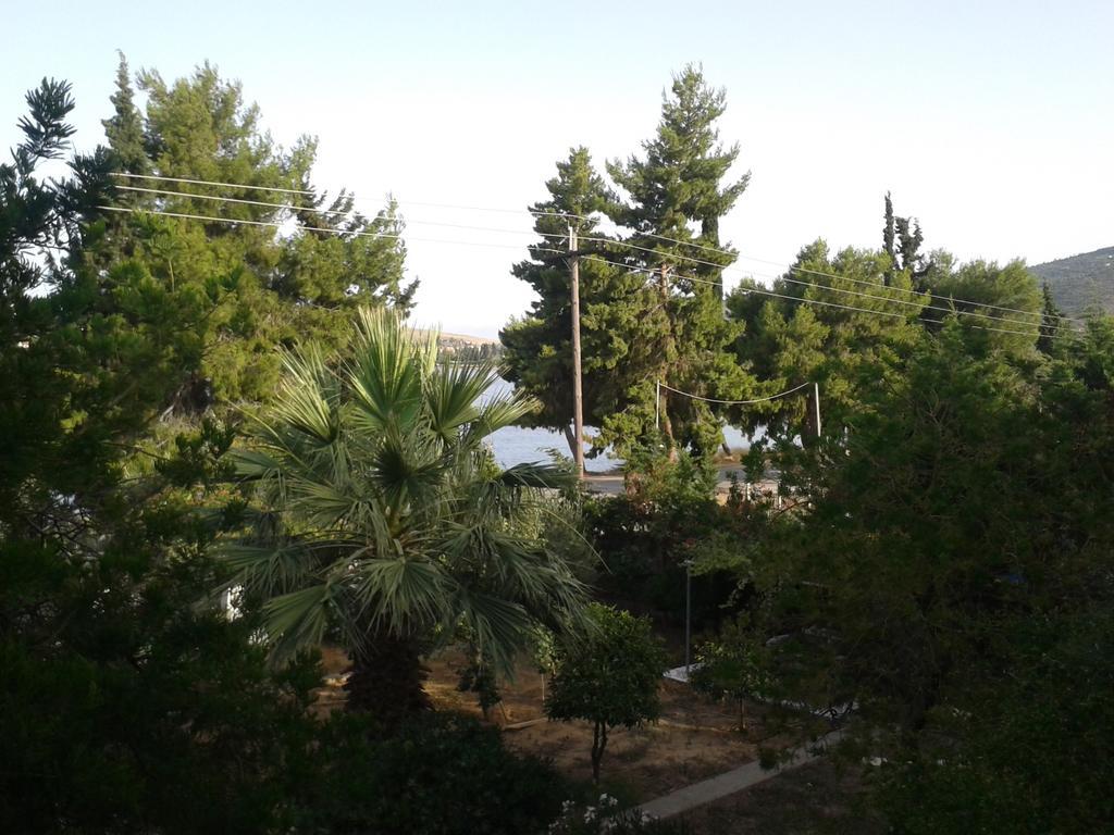 Elea Guesthouse Galaxidi Exterior photo